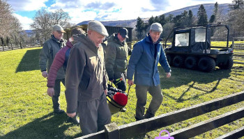 Ca First Aid Forestry Training Courses - Maddiston