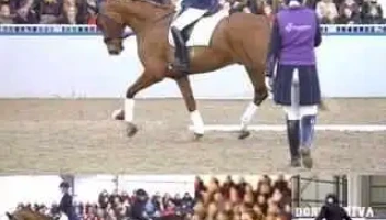 DonnaDiva Equestrian (now closed). - Bathgate