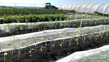 Kinkell Farm - Glasgow G66 7Nw