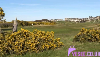 Moray Golf Club Pro Shop - Lossiemouth Iv31 6Qs