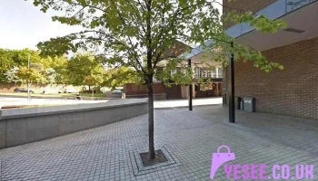 Plaza News - East Kilbride