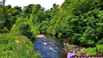 Roslin Glen Nature Reserve - Roslin Eh25