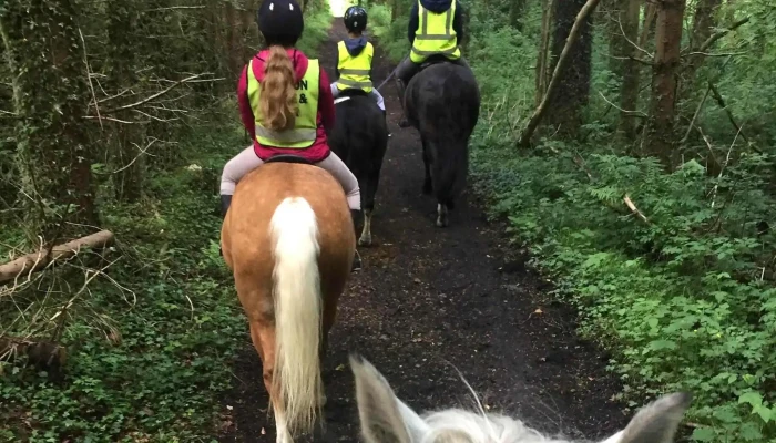 Ayr Equestrian - Ayr