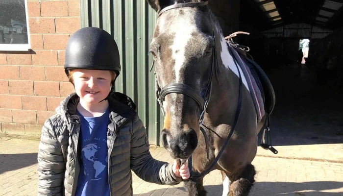 Ayr Equestrian -  Equestrian Store - Ayr
