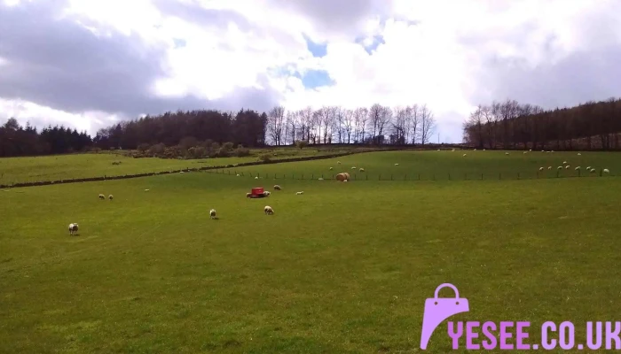 Ballingry Farm Ballingry Field - Lochgelly