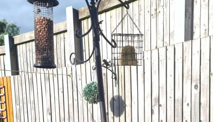 Bm Home Store With Garden Centre Glasgow - Glasgow