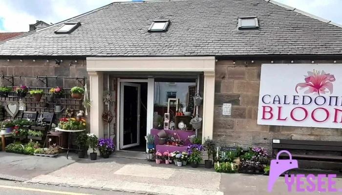 Caledonian Blooms - Kincardine