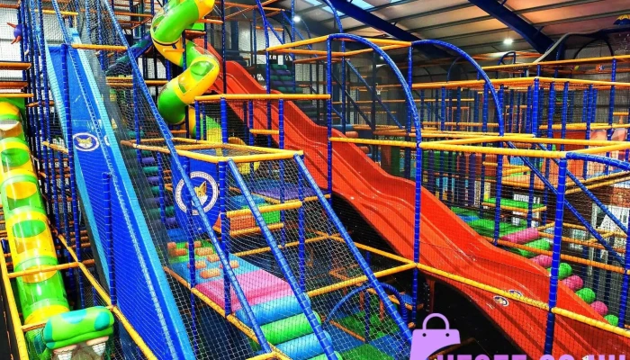 Conifox Adventure Park - Conifox