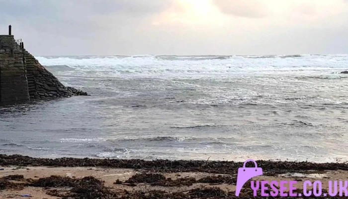 Crail Beach Fossils -  Videos - Anstruther