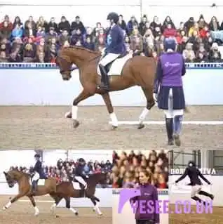 Donnadiva Equestrian Now Closed By Owner - Bathgate