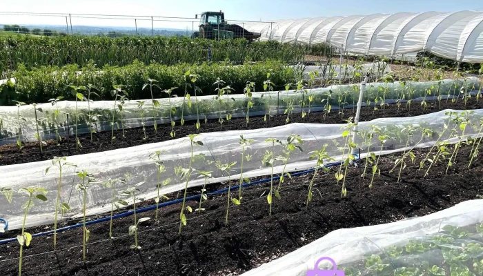 Kinkell Farm - Glasgow G66 7Nw