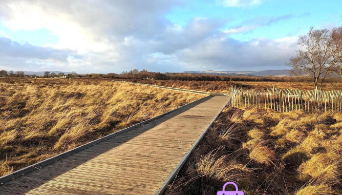 Lenzie Moss - Glasgow G66 4Db