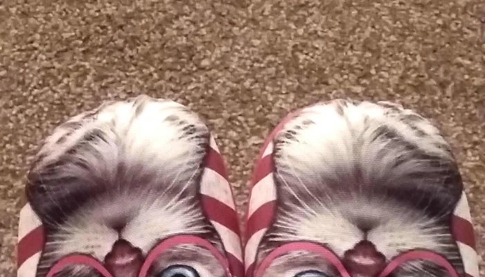 Pavers Shoes -  Fashion Accessories Store - Alexandria