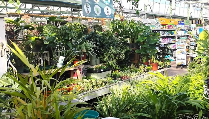 Pentland Plants -  Reviews - Loanhead