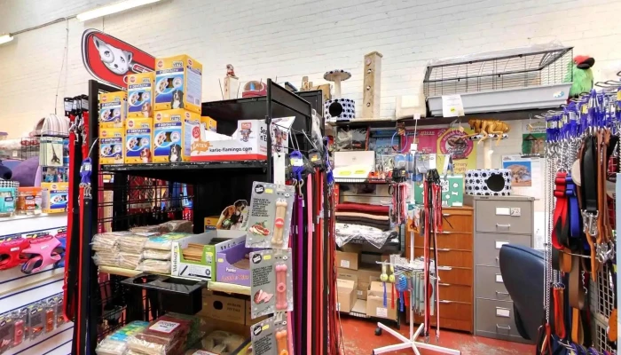 Pets Direct Alloa -  Street View 360deg - Alloa