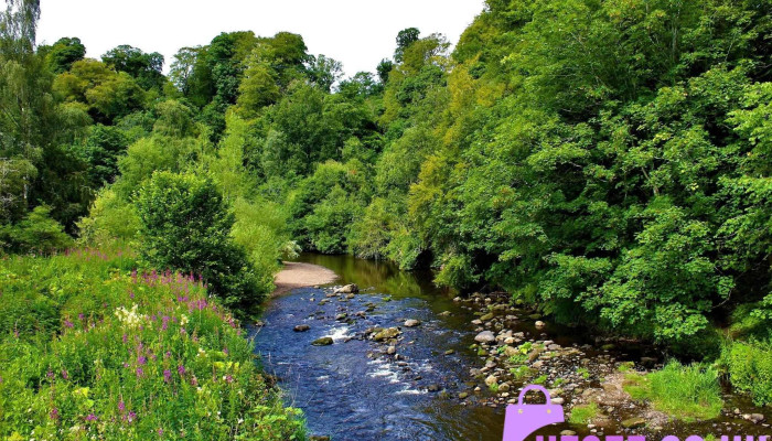 Roslin Glen Nature Reserve - Roslin Eh25