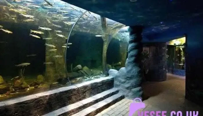 Sea Life Loch Lomond Aquarium -  By Owner - Alexandria