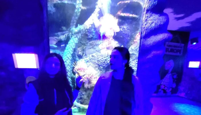 Sea Life Loch Lomond Aquarium -  Comments - Alexandria