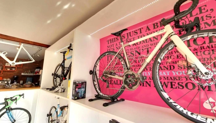 Synergy Cycles -  All - Auchterarder
