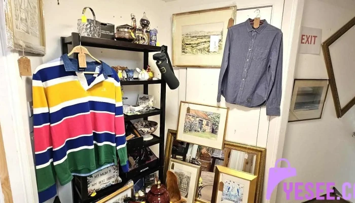 The Pop In - Pittenweem